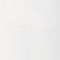 product.name 