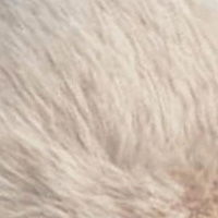 product.name 